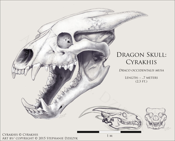 Dragon Skull by Dyslogistic on DeviantArt