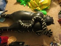 Balloon back