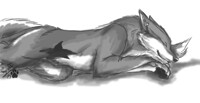 Sleepies