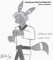 Old Picture - Taekwondo Umbreon Fight Pose