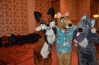 TFF 2014: Neeeerds
