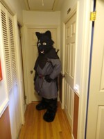 Algiz Suit