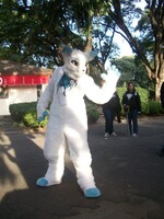 That keyblade behind the photo 