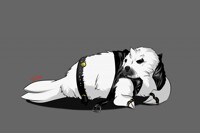 Commission Bibifok