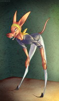 Leah the Pharaoh Hound
