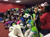 DE furbowl 54