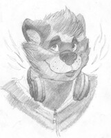 My Heroes Are All Raccoons