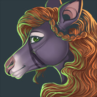 Avatar Example Commission
