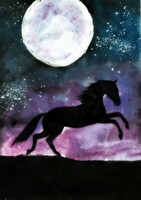 Night Sky- Horses