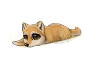 Shiba Inu