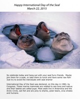 International Day of the Seal