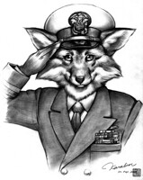 Cmdr Kitsune by Karabiner