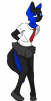 School Uniform