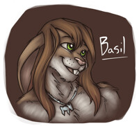 Headshot Freebies 14 - Basil34
