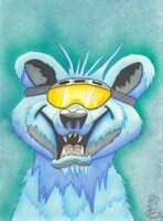 Party The Polor Bear