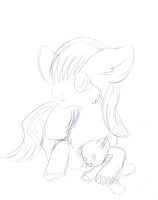 Help me develop this pone