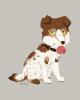 | C H I B I - gift |