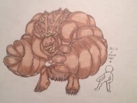 Random ph-13 shelled beast facts