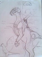 Dangri Inner Workings