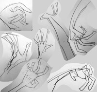 hands