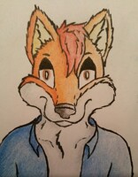 Just a fox