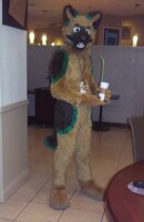 Rick GSD Fursuit Front