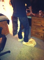 SketchCoyote Tail and Feet Paws- 2013