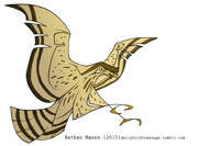 Cooper's Hawk