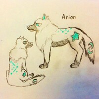 Arion CONTEST WIP