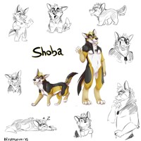 Shoba sketch page!