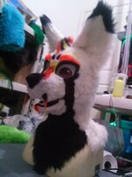 finished head