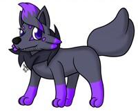 Shay The Zorua