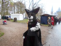 TV_Thari at EFF Haarzuilens 2015
