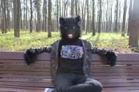 walk Furry