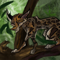 margay