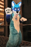 2015 FWA Fursuit Parade 22