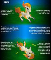 PokeFacts - Ponyta