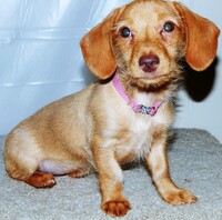 Meet Lilly.