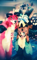 FWA2015 