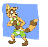 A Northern Wolfcoon (Second Attempt) 