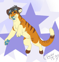 Seeing stars
