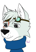 Ringgar headshot, by TaiHusky!