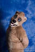 Ty Ty At Furry Migration 