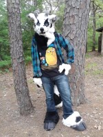 Seff's 1/3 Fursuit 2015