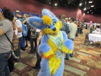 blfc 2015