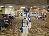blfc 2015