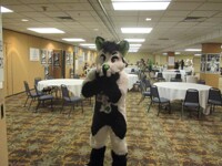 blfc 2015