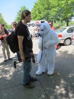Spontaneous Fursuit Walk Berlin 01 Photo 4