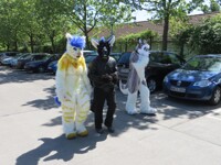 Spontaneous Fursuit Walk Berlin 01 Photo 8