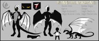 Shade clean reference